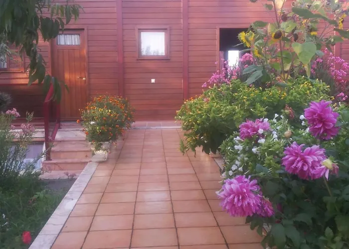 Cozy In Matas With Pool And Jacuzzi Appartement Mata (Fornos de Algodres)