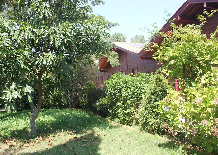 Cozy In Matas With Pool And Jacuzzi Appartement